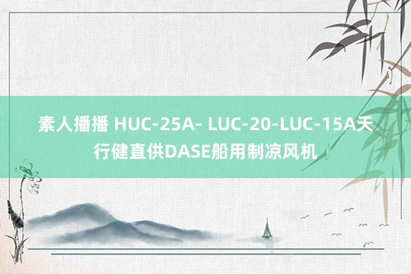 素人播播 HUC-25A- LUC-20-LUC-15A天行健直供DASE船用制凉风机