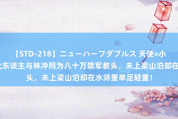 【STD-218】ニューハーフダブルス 天使×小悪魔 沙織 もえ 此东谈主与林冲同为八十万禁军教头，未上梁山泊却在水浒里举足轻重！