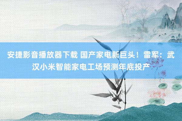 安捷影音播放器下载 国产家电新巨头！雷军：武汉小米智能家电工场预测年底投产