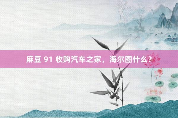 麻豆 91 收购汽车之家，海尔图什么？