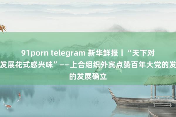 91porn telegram 新华鲜报丨“天下对中国的发展花式感兴味”——上合组织外宾点赞百年大党的发展确立