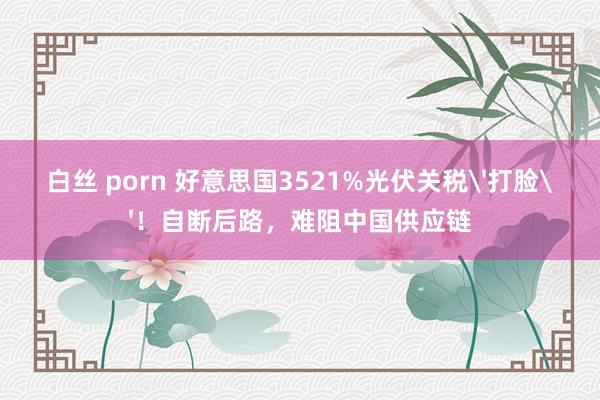 白丝 porn 好意思国3521%光伏关税'打脸'！自断后路，难阻中国供应链