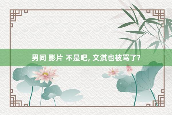 男同 影片 不是吧, 文淇也被骂了?