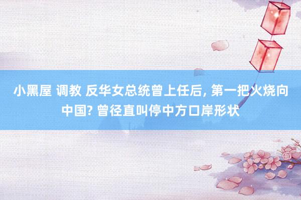 小黑屋 调教 反华女总统曾上任后, 第一把火烧向中国? 曾径直叫停中方口岸形状