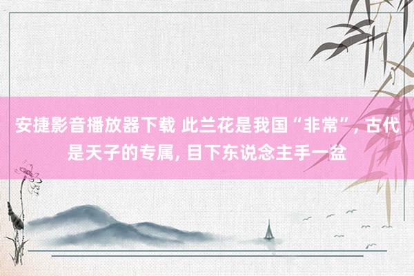 安捷影音播放器下载 此兰花是我国“非常”, 古代是天子的专属, 目下东说念主手一盆